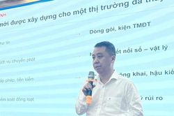 4,1 tỷ bưu gửi trước cơ chế quản lý rủi ro: Doanh nghiệp chuyển phát phải thay đổi gì?