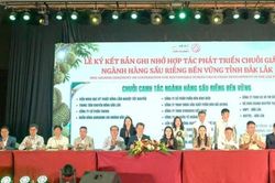 Th&uacute;c đẩy hệ sinh th&aacute;i sầu ri&ecirc;ng bền vững, minh bạch, đ&aacute;p ứng y&ecirc;u cầu thị trường