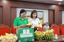 Hà Nội: Công nhận 13 sản phẩm OCOP đợt 1 năm 2026, thúc đẩy chế biến sâu và dược liệu cao cấp