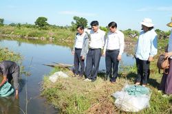 Từ những ruộng lúa kém hiệu quả đến mô hình lúa - tôm bền vững
