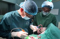 Bé 27 tháng tuổi chấn thương sọ não sau cú ngã