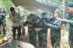 Đi t&igrave;m mật ong trong rừng s&acirc;u Đắk Lắk, người d&acirc;n ph&aacute;t hiện dấu t&iacute;ch mộ liệt sĩ
