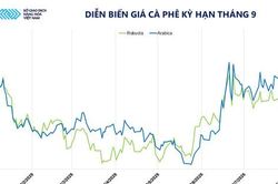 Sắc xanh bao phủ thị trường, MXV-Index tăng 60 điểm