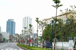Đề xuất phương &aacute;n lưu th&ocirc;ng tr&ecirc;n đường V&agrave;nh đai 1, đoạn Ho&agrave;ng Cầu - Voi Phục