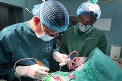 Cứu sống bé gái 27 tháng tuổi bị tụ máu màng não sau cú ngã đập đầu