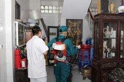 Hà Nội triển khai đồng bộ các biện pháp phòng, chống dịch sốt xuất huyết