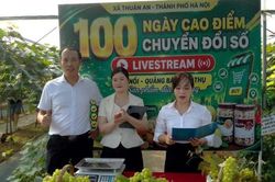 Thúc đẩy kinh tế số từ những việc làm gần dân