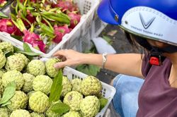 Na Đồng Bành gắn mác bán đầy thị trường giá rẻ bèo, tiểu thương bật mí 'tiền nào của ấy'
