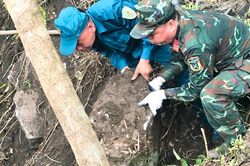 D&acirc;n qu&acirc;n nơi bi&ecirc;n cương g&oacute;p sức t&igrave;m h&agrave;i cốt liệt sĩ giữa n&uacute;i rừng Vị Xuy&ecirc;n