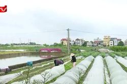 Đề xuất Nhà nước quyết định giá đất dựa trên dữ liệu, chống thao túng giá