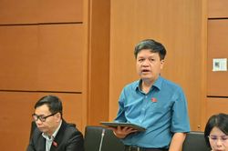 Đề xuất không 'trả tiền một cục' khi bồi thường thu hồi đất, chuyển sang 'cổ phần hóa sinh kế'