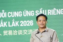 Đắk Lắk n&acirc;ng tầm sầu ri&ecirc;ng: Từ 'b&aacute;n quả' đến x&acirc;y dựng chuỗi gi&aacute; trị