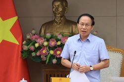Tổng rà soát VBQPPL: Lấy chất lượng phương án xử lý và khả năng triển khai làm thước đo kết quả