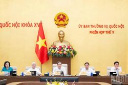 Đề cao tính hướng thiện, nhân đạo trong xử lý người phạm tội