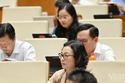 Hoàn thiện pháp luật, tăng minh bạch thị trường bất động sản