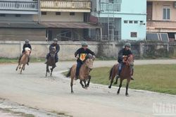 Nhiều hoạt động hấp dẫn tại Festival mùa thu Bắc Hà 2026