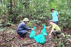 Vườn quốc gia Kon Ka Kinh: Đưa 24 cá thể động vật rừng nguy cấp, quý, hiếm trở lại môi trường tự nhiên