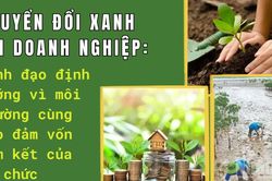 Chuyển đổi xanh tại doanh nghiệp: L&atilde;nh đạo định hướng v&igrave; m&ocirc;i trường c&ugrave;ng bảo đảm vốn cam kết của tổ chức