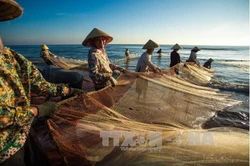 Sắp diễn ra Chương tr&igrave;nh kết nối cung-cầu thủy sản nội địa tại Vietfish 2026