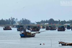 Thanh Hóa: Kêu gọi tàu thuyền tránh áp thấp trên biển và ứng phó với mưa trên đất liền