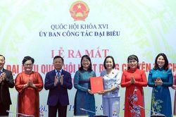 Ra mắt nhóm đại biểu Quốc hội hoạt động chuyên trách ở địa phương khóa XVI