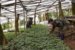 Để tài sản trí tuệ trở thành nguồn lực phát triển