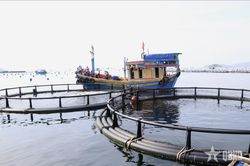 Khánh Hòa định hướng phát triển biển mạnh