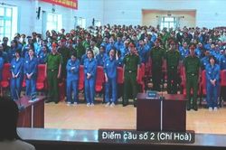 Chuyên án VN10: Nhiều trường hợp mẹ con hầu tòa