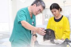 Nạo VA tưởng đơn giản, trẻ 17 tuổi thở máy hơn một tháng