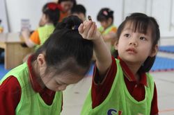 Tái cấu trúc mạng lưới trường học: Đo bằng chất lượng chứ không phải số lượng