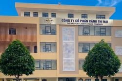 Cảng Thị Nại (TNP) sắp chi hơn 18 tỷ đồng trả cổ tức, nợ ngắn hạn cuối năm 2025 tăng gần 130%