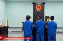 Rủ nhau mua ma túy để sử dụng, cả hai cùng lĩnh án