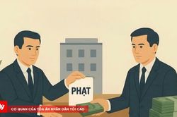 Kê khai khống vốn điều lệ, một công ty bị phạt 85 triệu đồng