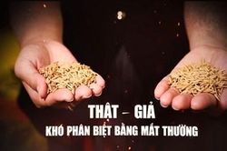 Thông báo thay đổi lịch phát sóng chương trình 'Hồ sơ Công tố - Kiểm sát'