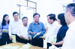 Nghệ An đổi mới hoạt động khuyến n&ocirc;ng ph&ugrave; hợp với vận h&agrave;nh ch&iacute;nh quyền địa phương 2 cấp