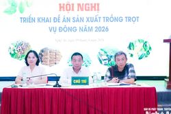 Nghệ An: Lấy thị trường làm trung tâm trong sản xuất vụ Đông 2026