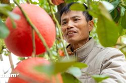 Mở hướng nâng tầm nông sản bằng nông nghiệp hữu cơ