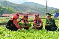 Tích hợp các chương trình mục tiêu quốc gia: Không để quy trình 'trói' nguồn lực
