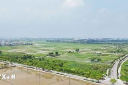 Đưa 'xã, phường xã hội chủ nghĩa' vào từng vấn đề thiết thực của người dân