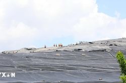 Thành phố Hồ Chí Minh: Giảm chôn lấp, tăng tái chế và thu hồi năng lượng từ rác