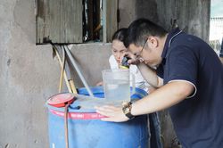 Hà Nội lo ngại sốt xuất huyết đang vào cao điểm dịch