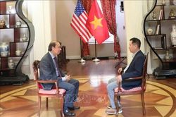 Đại sứ quán Việt Nam tại Mỹ nỗ lực thúc đẩy tìm kiếm, xác định danh tính hài cốt liệt sĩ