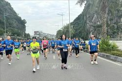 Cảnh giác các trang fanpage giả mạo Giải chạy Marathon quốc tế di sản Hạ Long