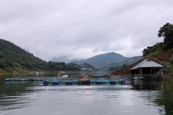 Tạo sinh kế bền vững, n&acirc;ng cao thu nhập cho đồng b&agrave;o d&acirc;n tộc thiểu số