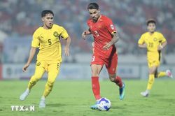 Việt Nam - Malaysia: Cần giữ sự tỉnh táo