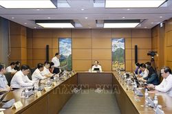Đề nghị đồng bộ pháp luật đất đai, nhà ở và kinh doanh bất động sản