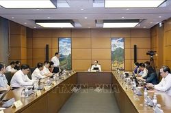 Đề nghị đồng bộ pháp luật đất đai, nhà ở và kinh doanh bất động sản