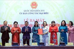 Phát huy vai trò nòng cốt của đại biểu Quốc hội chuyên trách ở địa phương