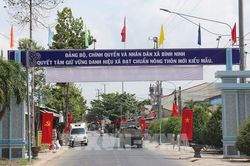Ký ức chiến khu và diện mạo mới trù phú trên quê hương Đồng Tháp