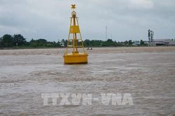 Đồng Tháp: Dự báo đỉnh lũ năm 2026 xuất hiện vào tháng 10